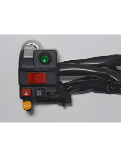 Piña de luces y bototes izquierdo