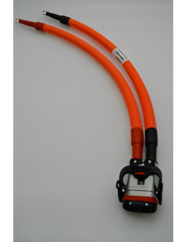 Conjunto de cableado de energía (Batería litio)