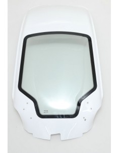 Windshield assembly with roof