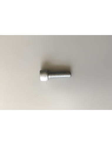 Flat round head screw with internal hexagon M10×30