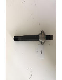 Semieje derecho 2022