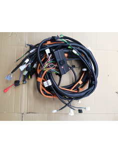 Gruppo cablaggio corpo (batteria al litio)