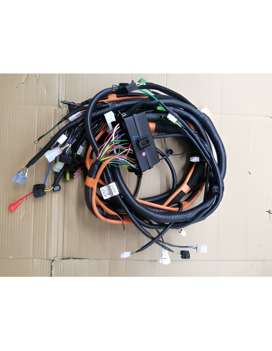 Ensemble de câblage de carrosserie (batterie au lithium)