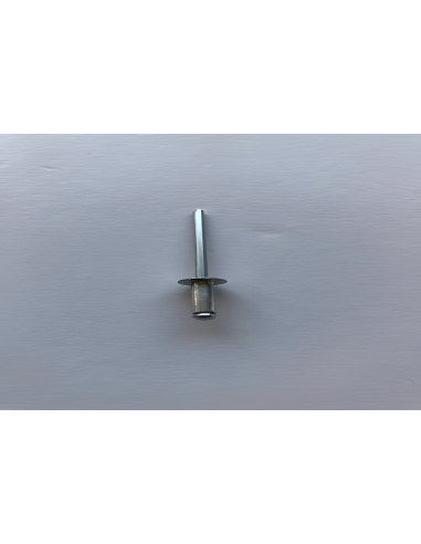 Ce rivets à tête ronde plate à extrémité ouverte (φ4×10)