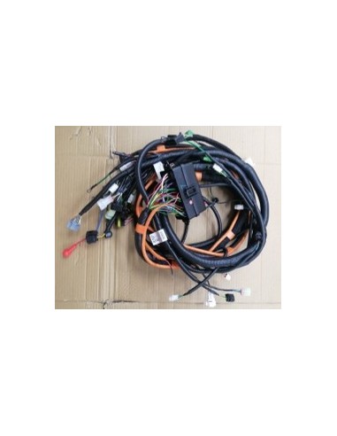 Conjunto de cableado principal de carrocería L5