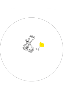 Albero intermedio 2023