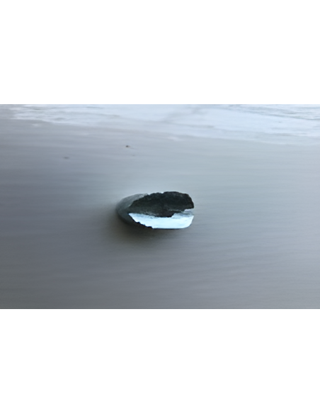 Autocollant, revêtement de carrosserie R, ST010/noir